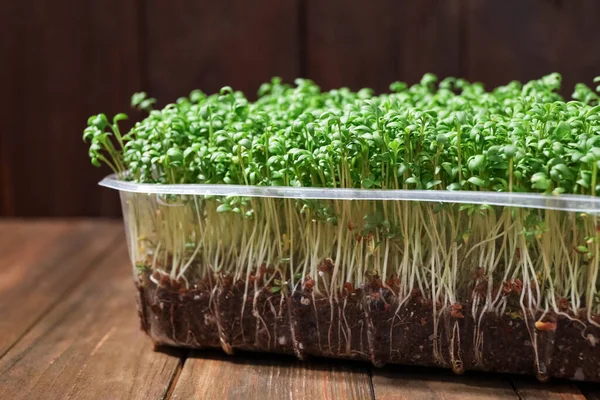 Vers Organisch Microgroen Houten Tafel Close — Stockfoto