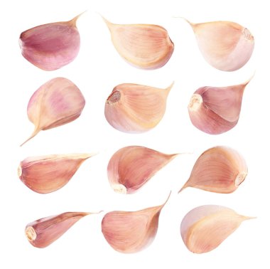 Beyaz arka planda taze sarımsak karanfilleri. 