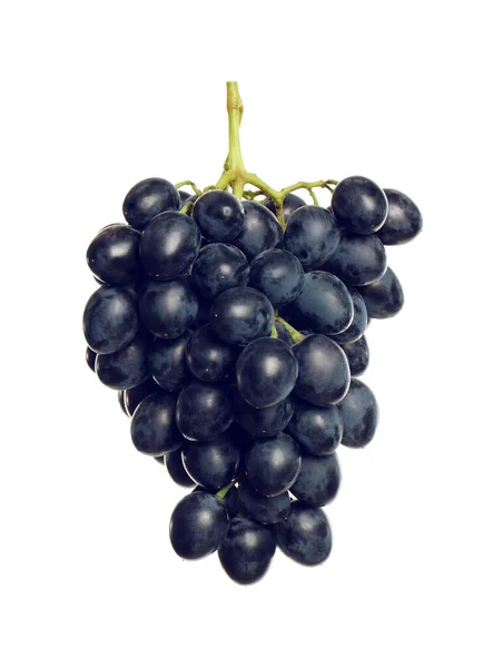 Група Свіжого Стиглого Соковитого Темно Синього Винограду Ізольовані Білому — стокове фото