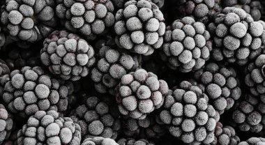 Arka plan olarak lezzetli donmuş böğürtlenler, üst manzara