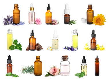 Beyaz arka planda aromaterapi için farklı temel yağlar 