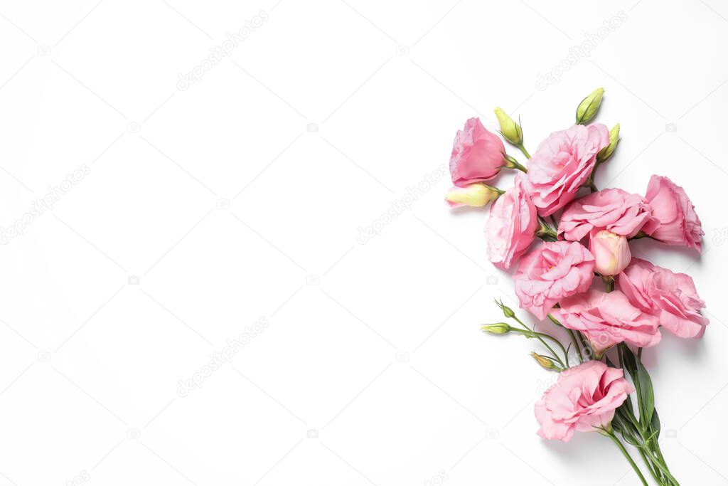 Beautiful pink Eustoma flowers on white background, top view. Space for text