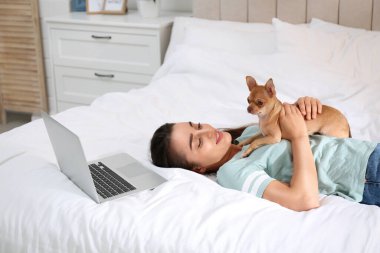 Chihuahua ve dizüstü bilgisayarı olan genç bir kadın. Merkez ofis kavramı