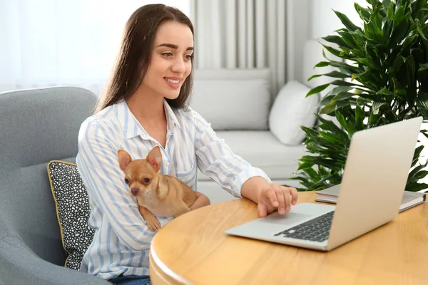 Mujer Joven Con Chihuahua Trabajando Ordenador Portátil Mesa Concepto Oficina — Foto de Stock