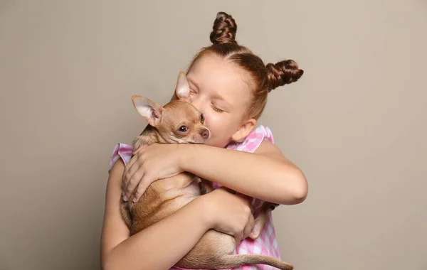 Petite Fille Avec Son Chien Chihuahua Sur Fond Gris Enfance — Photo