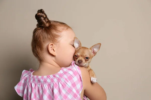 Niña Con Perro Chihuahua Sobre Fondo Gris Mascota Infantil — Foto de Stock