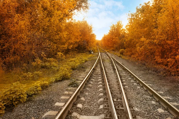 Όμορφη Θέα Του Δάσους Του Φθινοπώρου Διασχίζεται Από Σιδηρόδρομο — Φωτογραφία Αρχείου