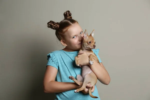 Petite Fille Avec Son Chien Chihuahua Sur Fond Gris Enfance — Photo