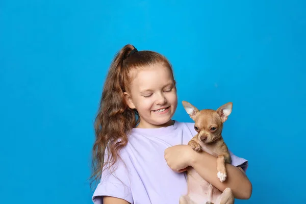 Petite Fille Avec Son Chien Chihuahua Sur Fond Bleu Clair — Photo