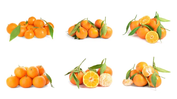 Conjunto Tangerinas Maduras Frescas Sobre Fundo Branco — Fotografia de Stock