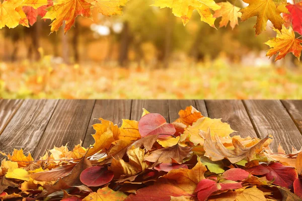 Hölzerne Oberfläche Mit Schönen Herbstblättern Park — Stockfoto