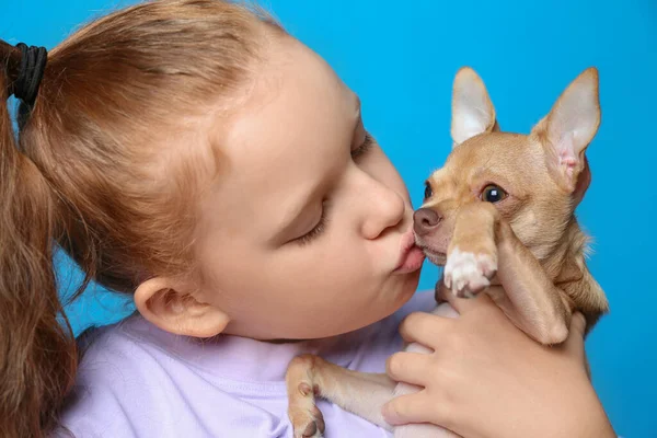 Petite Fille Avec Son Chien Chihuahua Sur Fond Bleu Clair — Photo