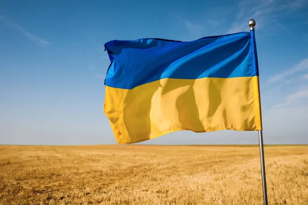 Národní Vlajka Ukrajiny Pšeničném Poli Proti Modré Obloze Detailní Záběr — Stock fotografie