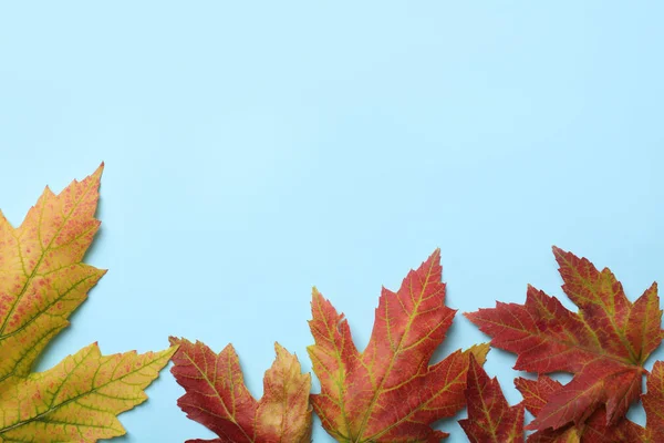 Bunte Herbstblätter Auf Hellblauem Hintergrund Flach Gelegt Raum Für Text — Stockfoto