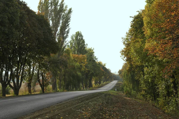 Bela Vista Estrada Asfalto Vazio Árvores Outono — Fotografia de Stock