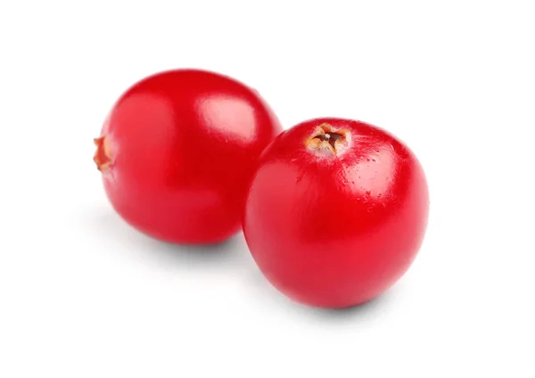 Cranberry Merah Segar Dengan Latar Belakang Putih Camilan Sehat — Stok Foto