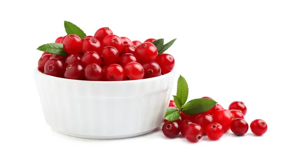 Fresh Ripe Cranberries Leaves White Background — Stock Photo, Image
