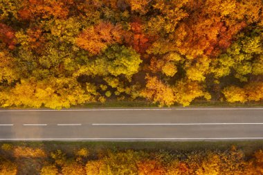 Sonbahar ormanlarının güzel hava manzarası asfalt yolu ile kesişiyor.