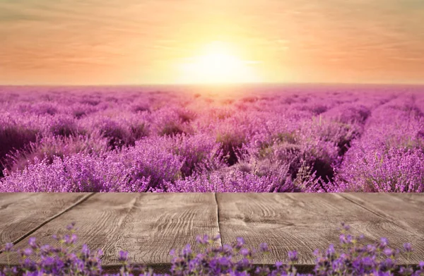 Leere Holzoberfläche Und Schön Blühendes Lavendelfeld Einem Sommertag Bei Sonnenuntergang — Stockfoto