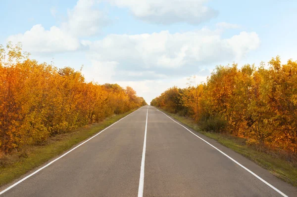 Belle Vue Sur Route Asphaltée Vide Automne — Photo