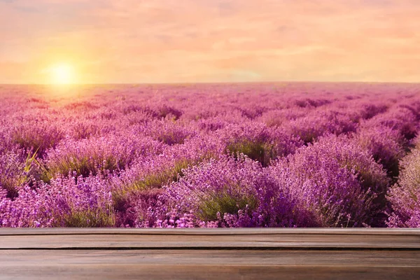 Lege Houten Ondergrond Prachtig Bloeiend Lavendelveld Zomerdag Bij Zonsondergang — Stockfoto