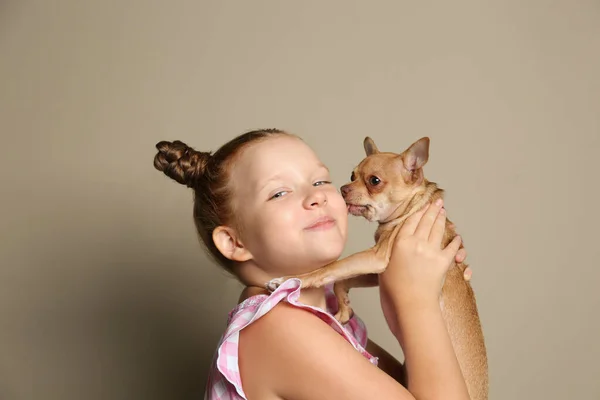 Petite Fille Avec Son Chien Chihuahua Sur Fond Gris Enfance — Photo