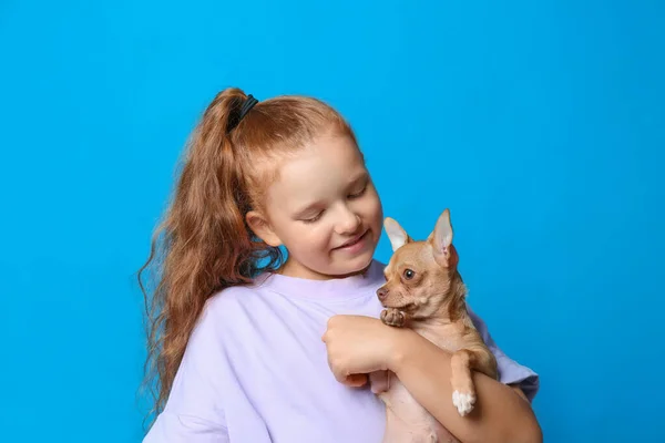 Petite Fille Avec Son Chien Chihuahua Sur Fond Bleu Clair — Photo