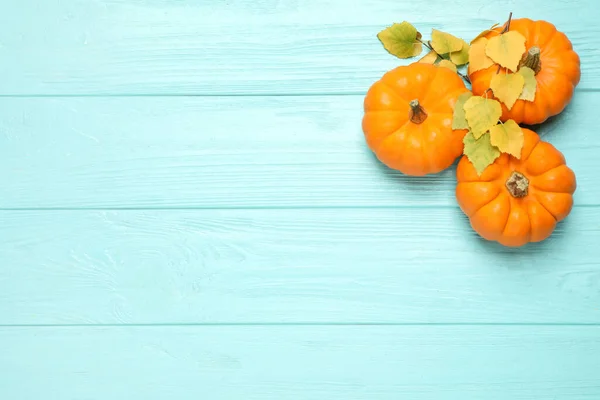 stock image Ripe orange pumpkins and autumn leaves on light blue wooden table, flat lay. Space for text