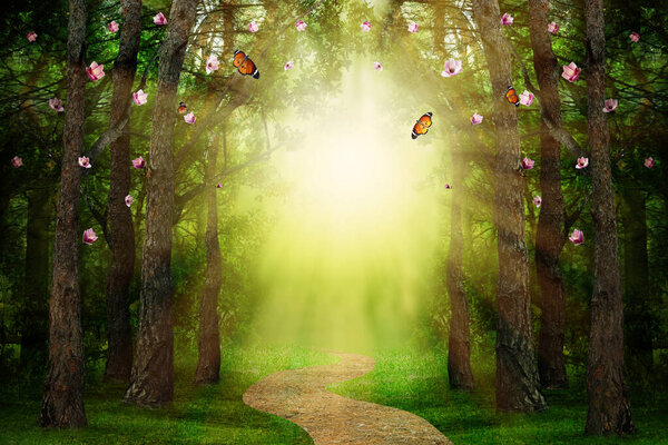 Fantasy world. Magic forest with beautiful butterflies and sunlit way between trees