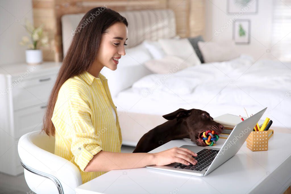 Young woman working on laptop near her playful dog in home office
