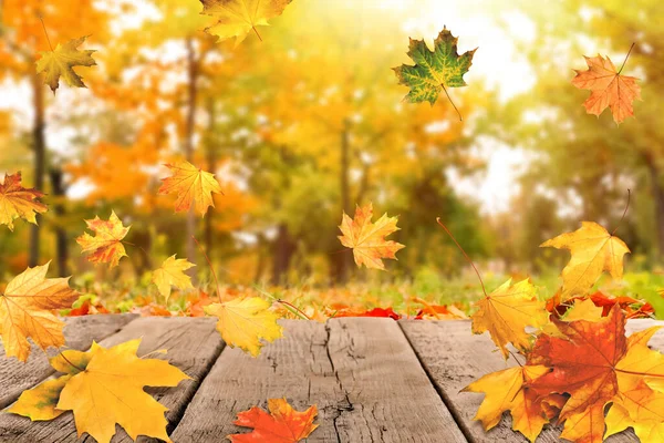 Krásné Podzimní Listí Padající Dřevěný Povrch Parku — Stock fotografie