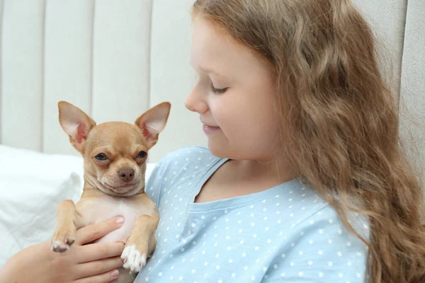 Petite Fille Avec Son Chien Chihuahua Maison Enfance Animal Compagnie — Photo