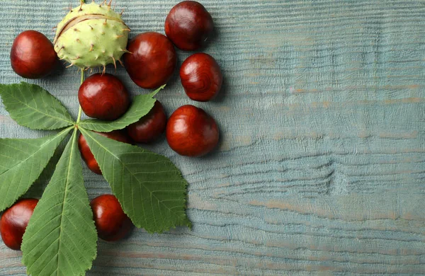 Mange Hestekastanjer Blad Det Blå Trebordet Flatt Plass Til Tekst – stockfoto