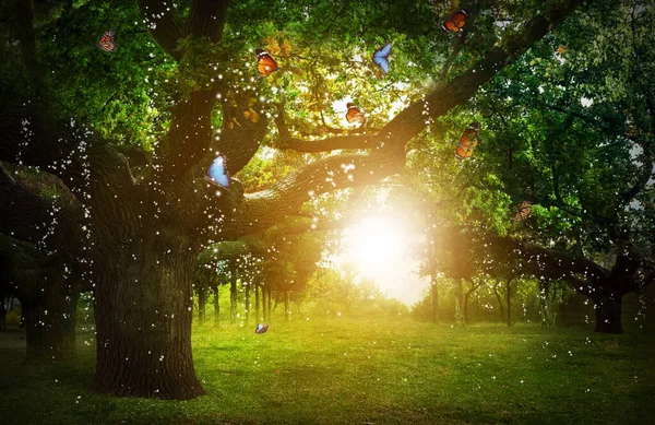 Fantasiewelt Verzauberter Wald Mit Wunderschönen Schmetterlingen Und Magischen Lichtern — Stockfoto