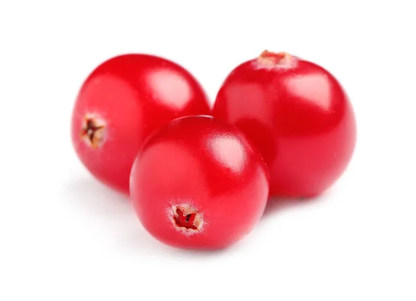 Cranberry Merah Segar Dengan Latar Belakang Putih Camilan Sehat — Stok Foto