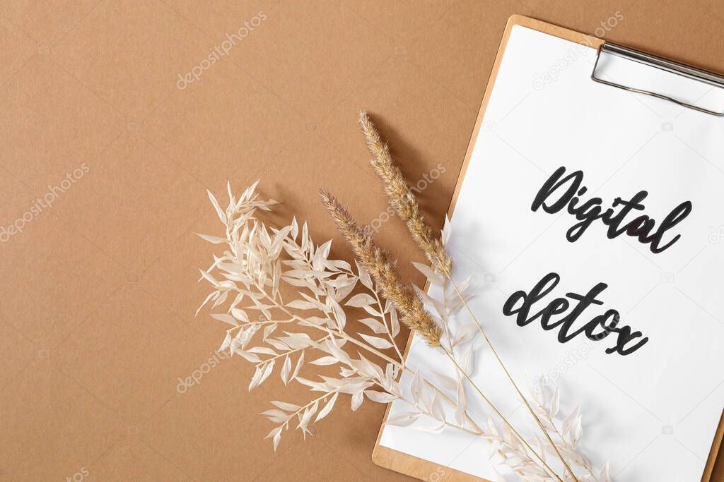 Clipboard with phrase DIGITAL DETOX and spikelets on brown background, flat lay. Space for text