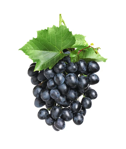 Bunch Fresh Ripe Juicy Dark Blue Grapes Leaves Isolated White — Stock Photo, Image