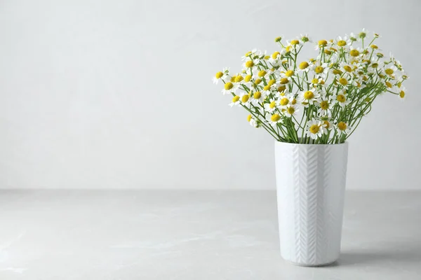 Váza Krásnými Heřmánkovými Květy Světle Šedém Stole Mezera Pro Text — Stock fotografie