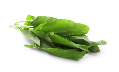 Beyaz arkaplanda taze yeşil kuş yaprakları var.