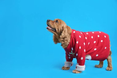 Açık mavi arka planda Noel süveteri içinde sevimli Cocker Spaniel, metin için yer