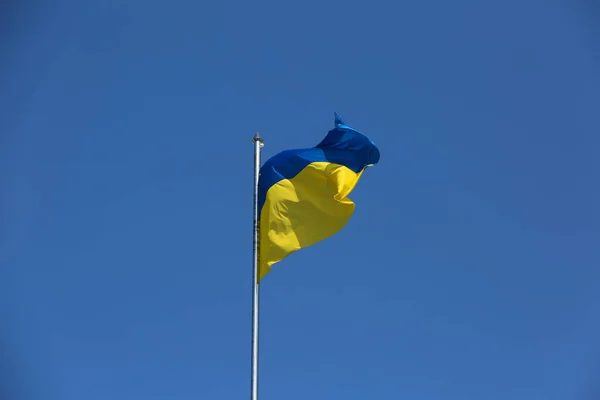 Ukrajinská Národní Vlajka Vlající Proti Modré Obloze — Stock fotografie
