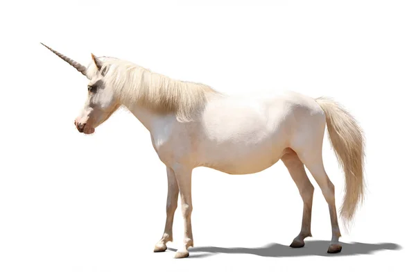 Amazing Unicorn Beautiful Mane White Background — Stock Photo, Image