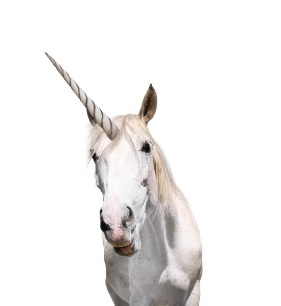 Erstaunliches Einhorn Mit Schöner Mähne Auf Weißem Hintergrund — Stockfoto