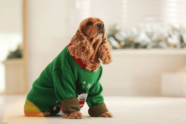 Adorable Cocker Spaniel Christmas Sweater Blurred Background Space Text — Stock Photo, Image