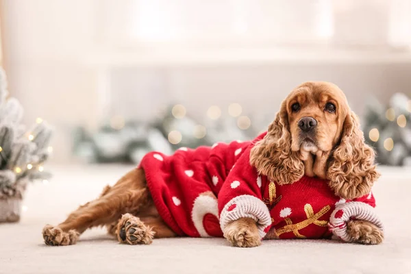 크리스마스 스웨터를 스러운 스페인 배경이 — 스톡 사진