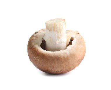 Taze şampiyon mantarı beyaza izole edilmiş.