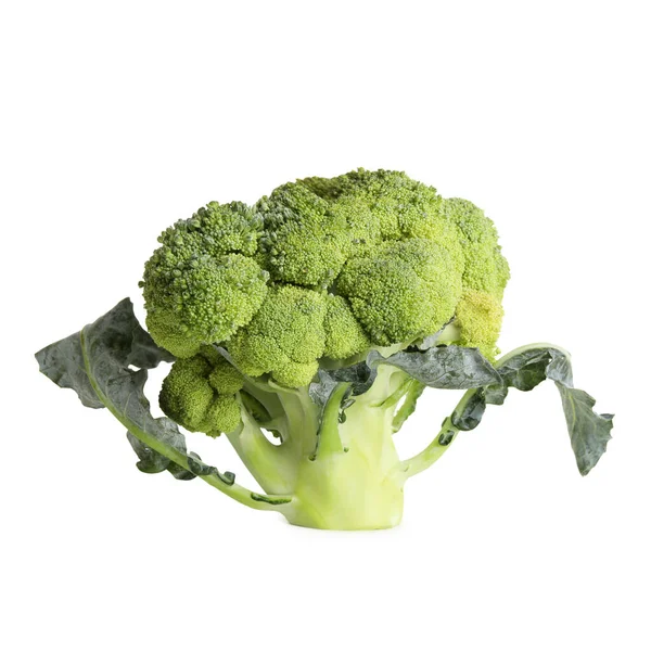 Färsk Grön Broccoli Isolerad Vitt — Stockfoto
