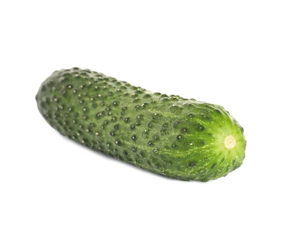 Fresh Ripe Green Cucumber Isolated White — Stock Photo, Image