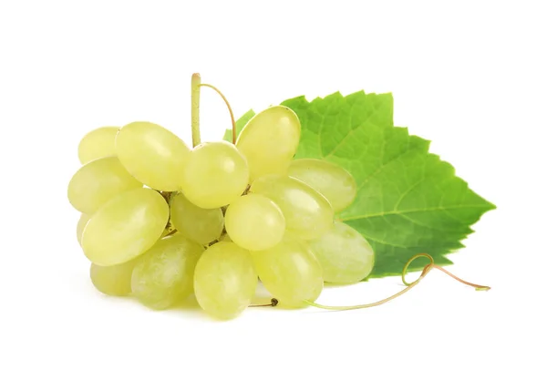 Fresh Ripe Juicy Grapes Leaf Isolated White — Stock Photo, Image