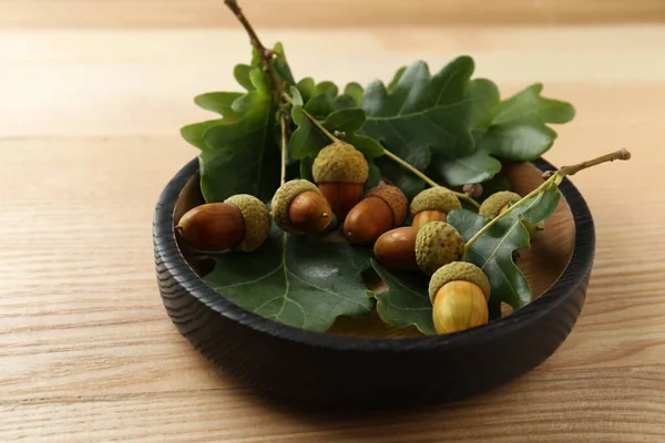Acorns Oak Leaves Wooden Table — Stock Photo, Image